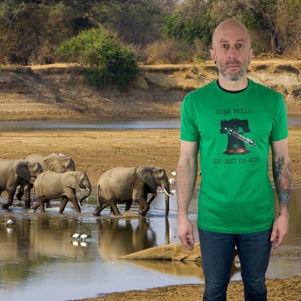 GREEN “Some Bells You Can’t Un-Ring” T-Shirt